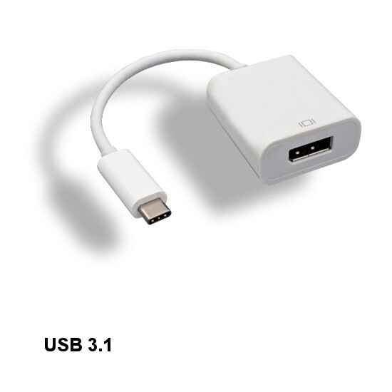10PCS USB 3.1 Type C to DisplayPort Adapter 4Kx2K for PC Smartphone TV Laptop