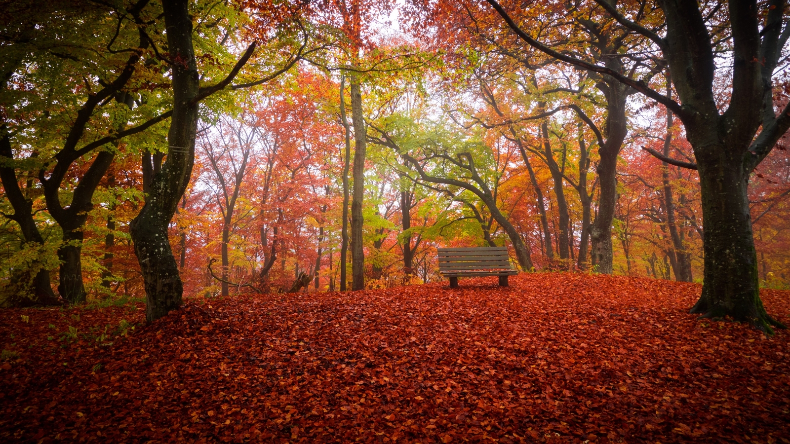 Landscape fall bench trees Custom Gaming Mat Desk
