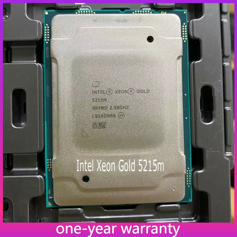 Intel Xeon Gold 5215m official version 10 cores 20 threads 2.5ghz server CPU