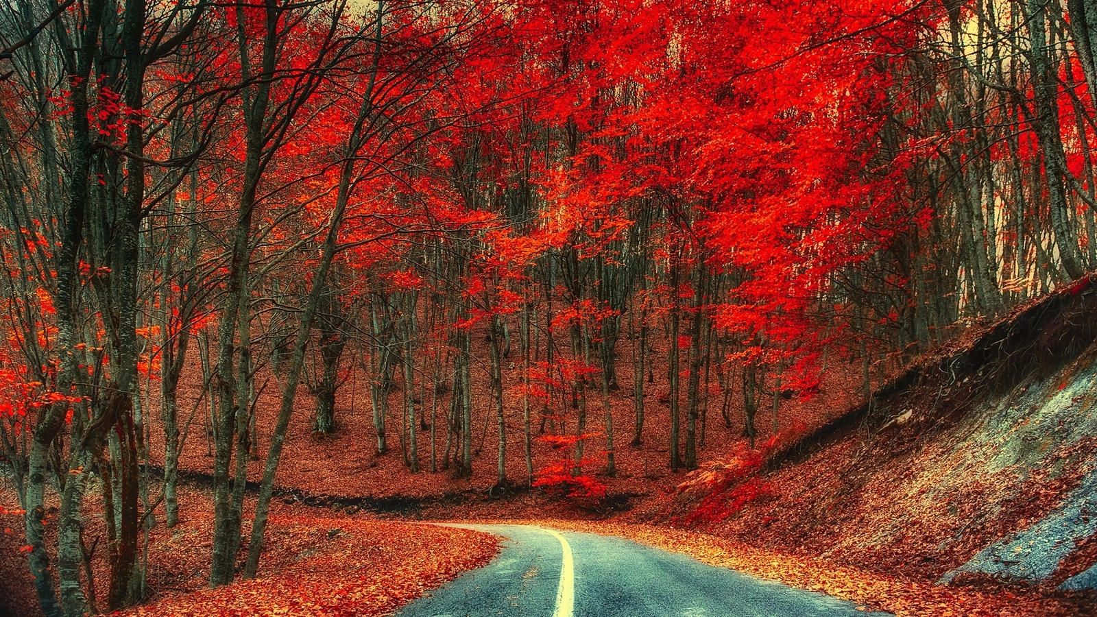 Landscape trees road nature Custom Gaming Mat Desk