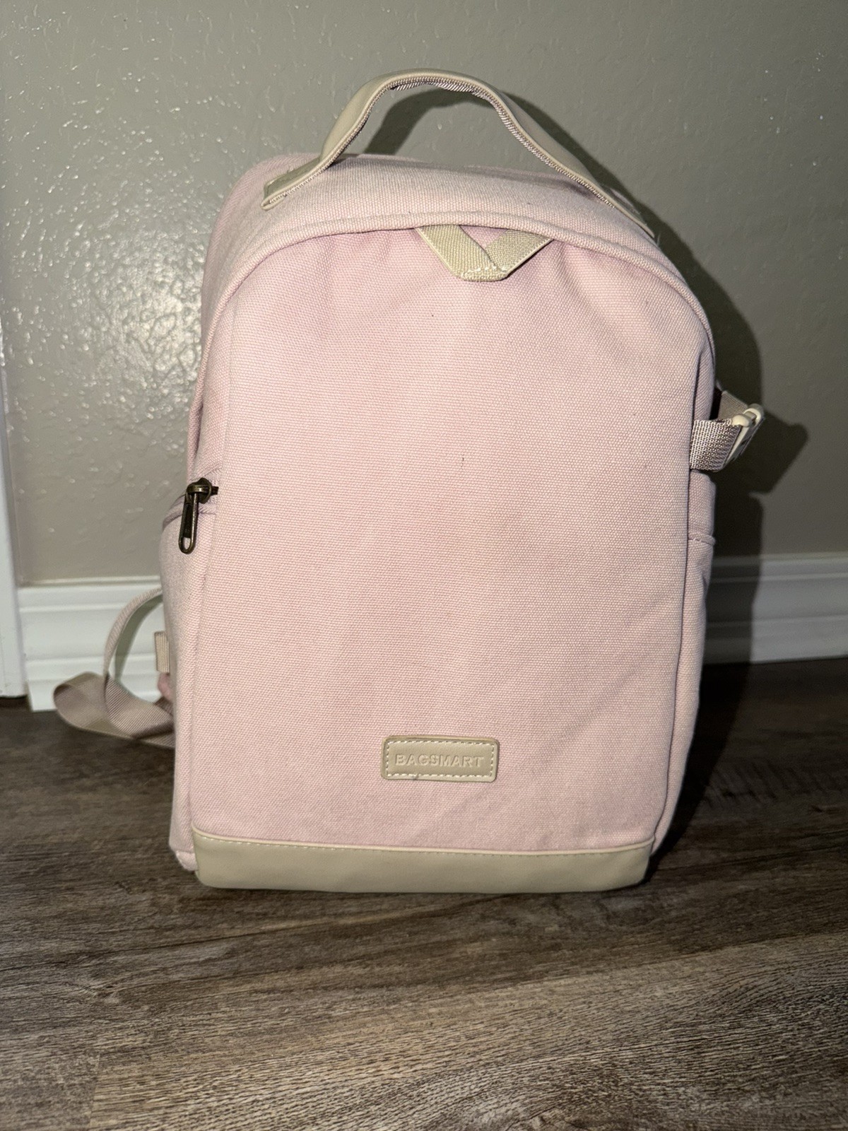 PINK BAGSMART Camera and Lens Backpack Purse Padded Case Woman Travel Carryon