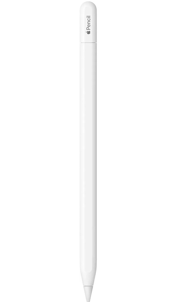 NEW Apple Pencil USB-C For iPad Pro Mini Stylus MUWA3AM/A