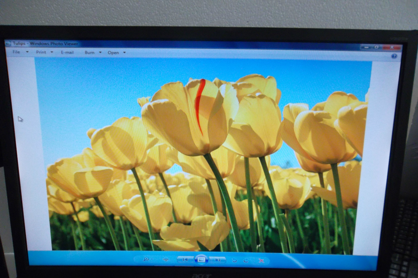 ACER V223W V226WL 22" Widescren LCD Monitor VGA DVI 1680x1050 16:10 5ms No Stand