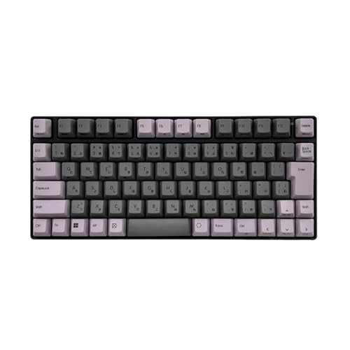 REALFORCE RC1 Keyboard Compatible Keycap Set 25 Keys Smoky Lilac Japanese Layout