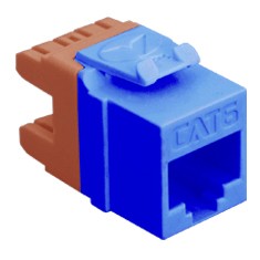 Module cat 6 hd blue