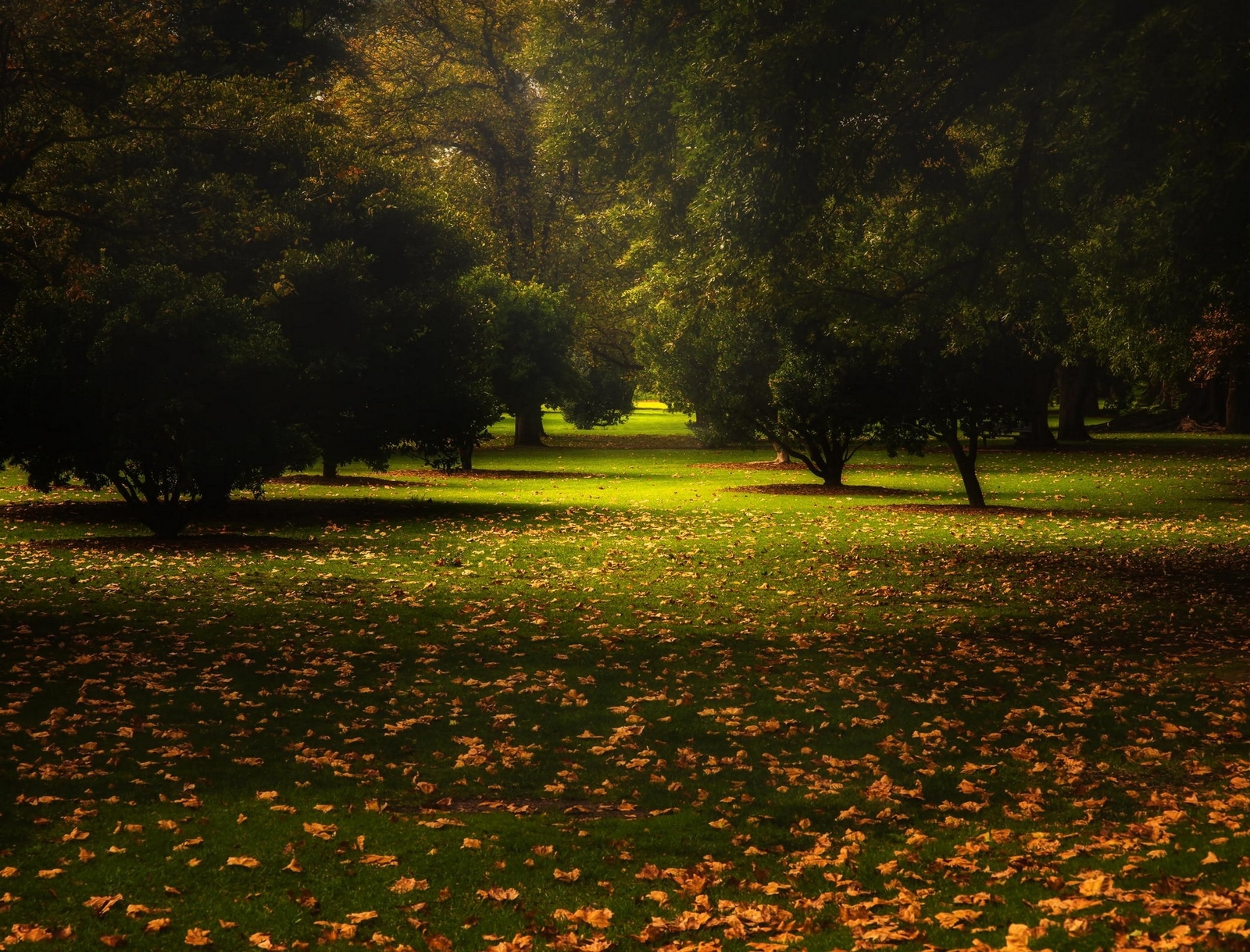 Landscape park leaves trees fall grass australia calm Custom Gaming Mat Desk