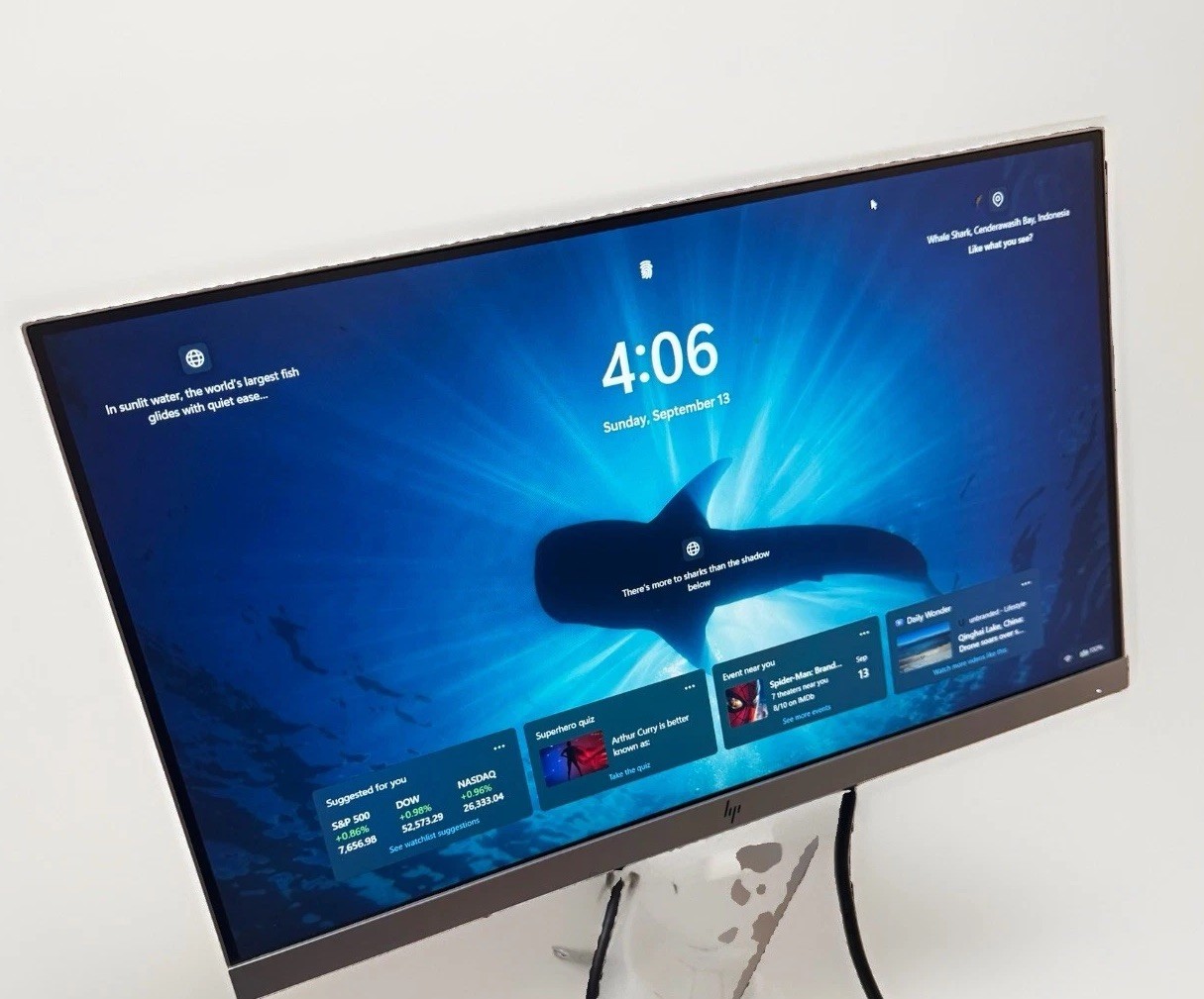 HP E223 22in Full HD 1920x1080 DP HDMI VGA Slim Bezel Desktop Computer Monitor