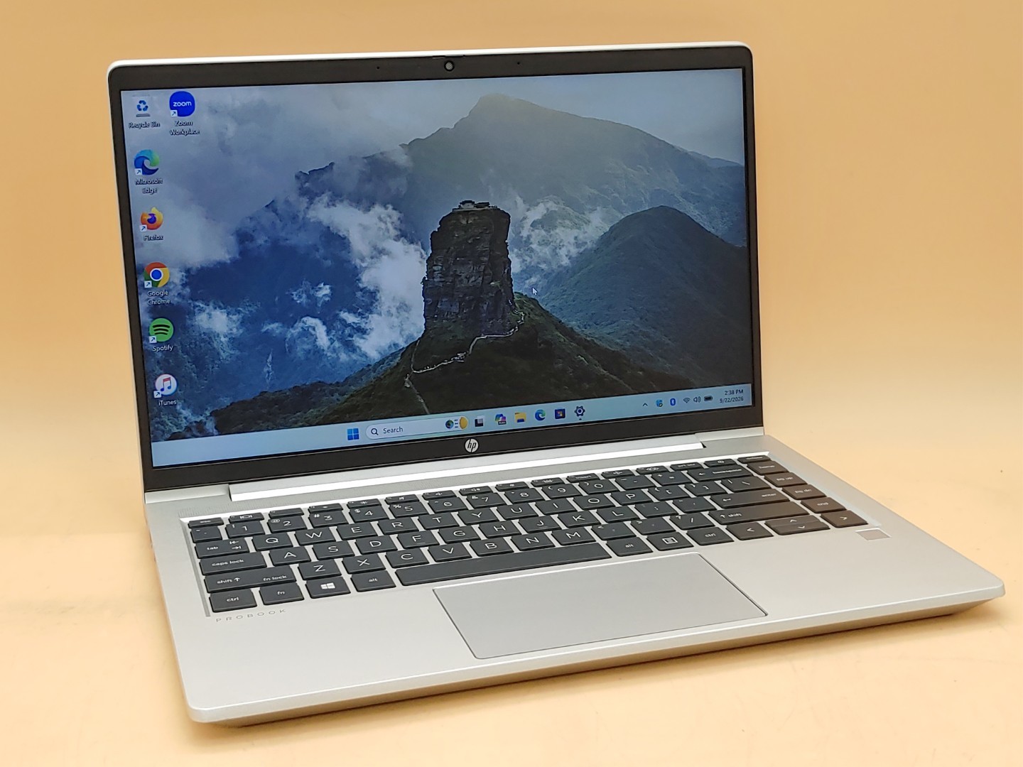 HP ProBook 445 G8 14" AMD Ryzen 5 5600U 8GB RAM 256GB SSD Win11Pro **NO A/C**