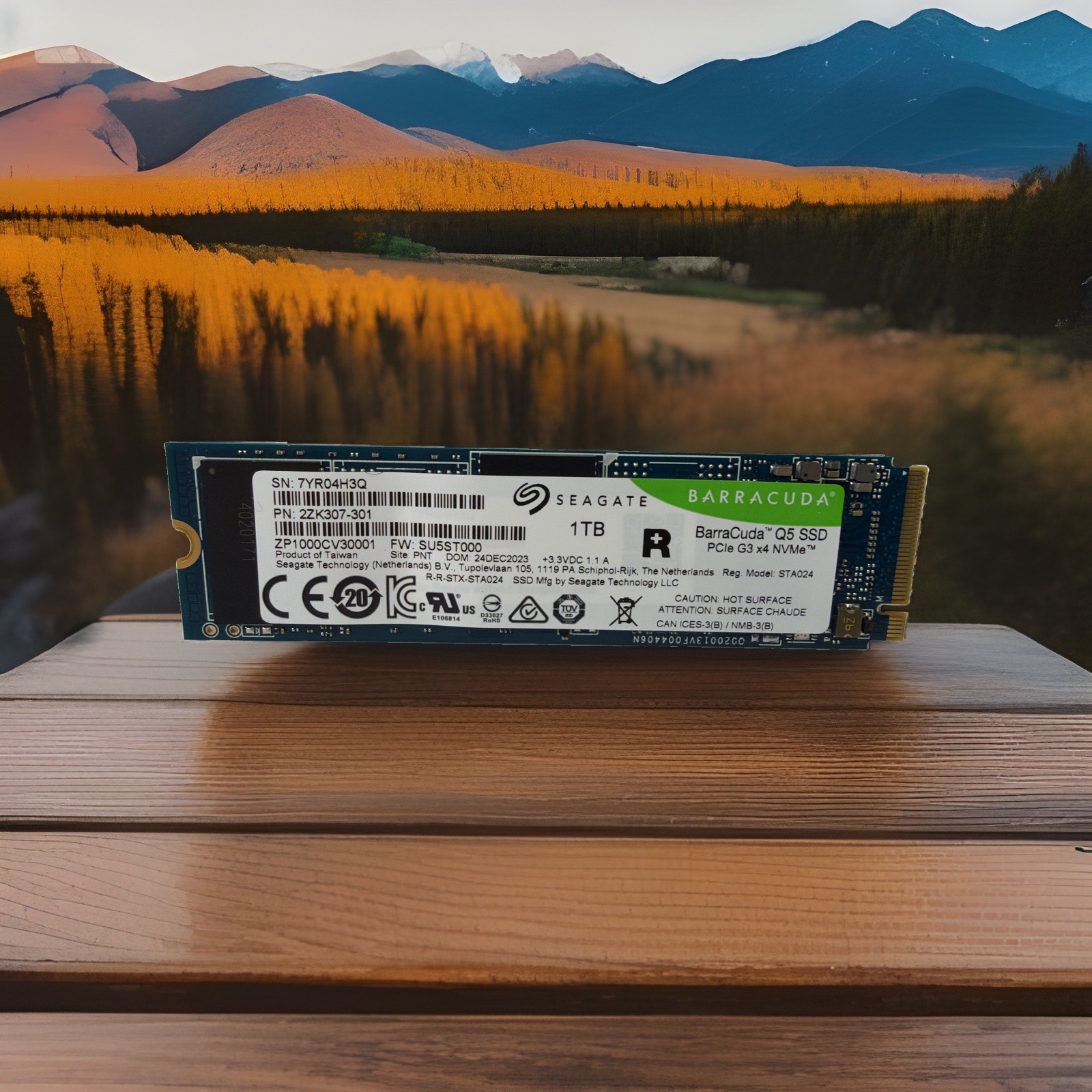 Seagate Barracuda Q5 ZP1000CV30001 1 TB M.2 PCIe G3 x4 NVMe SSD - Crystal Disk