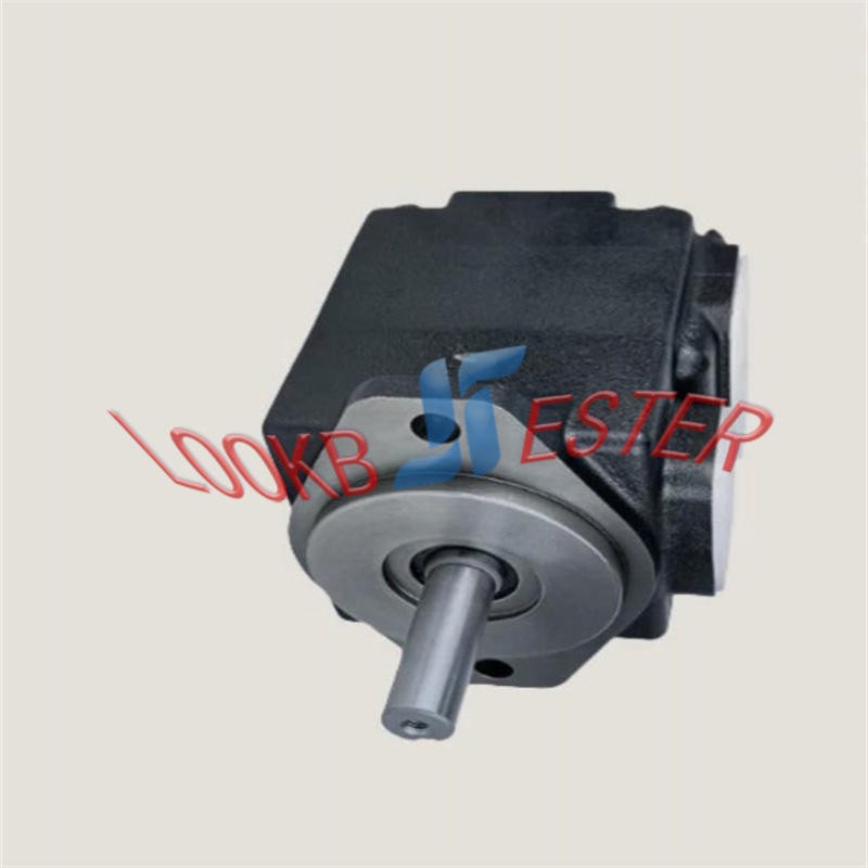 1PC DENISON Hydraulic Vane Pump T6C-006-1R02-C1 T6C 006 1R02 C1 NEW FedEx or DHL