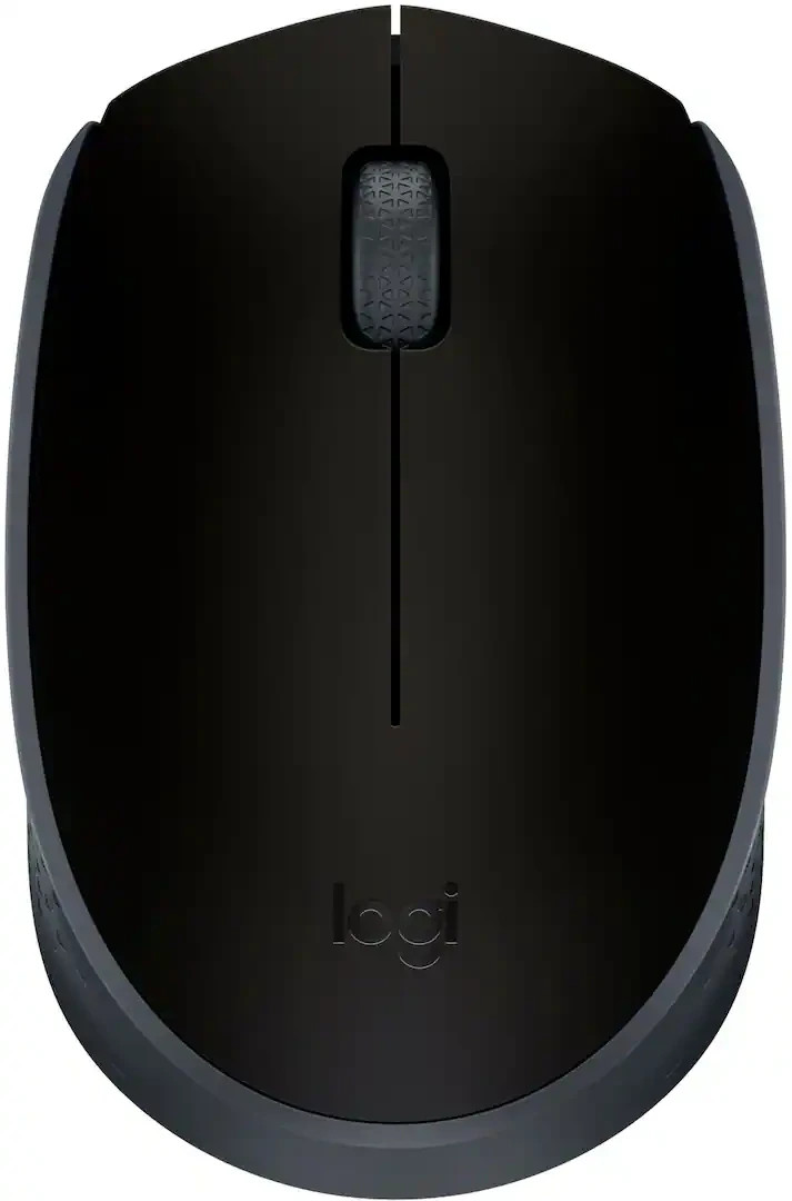 Logitech - M170 Wireless Compact Optical Ambidextrous Mouse - Black (910-004940)