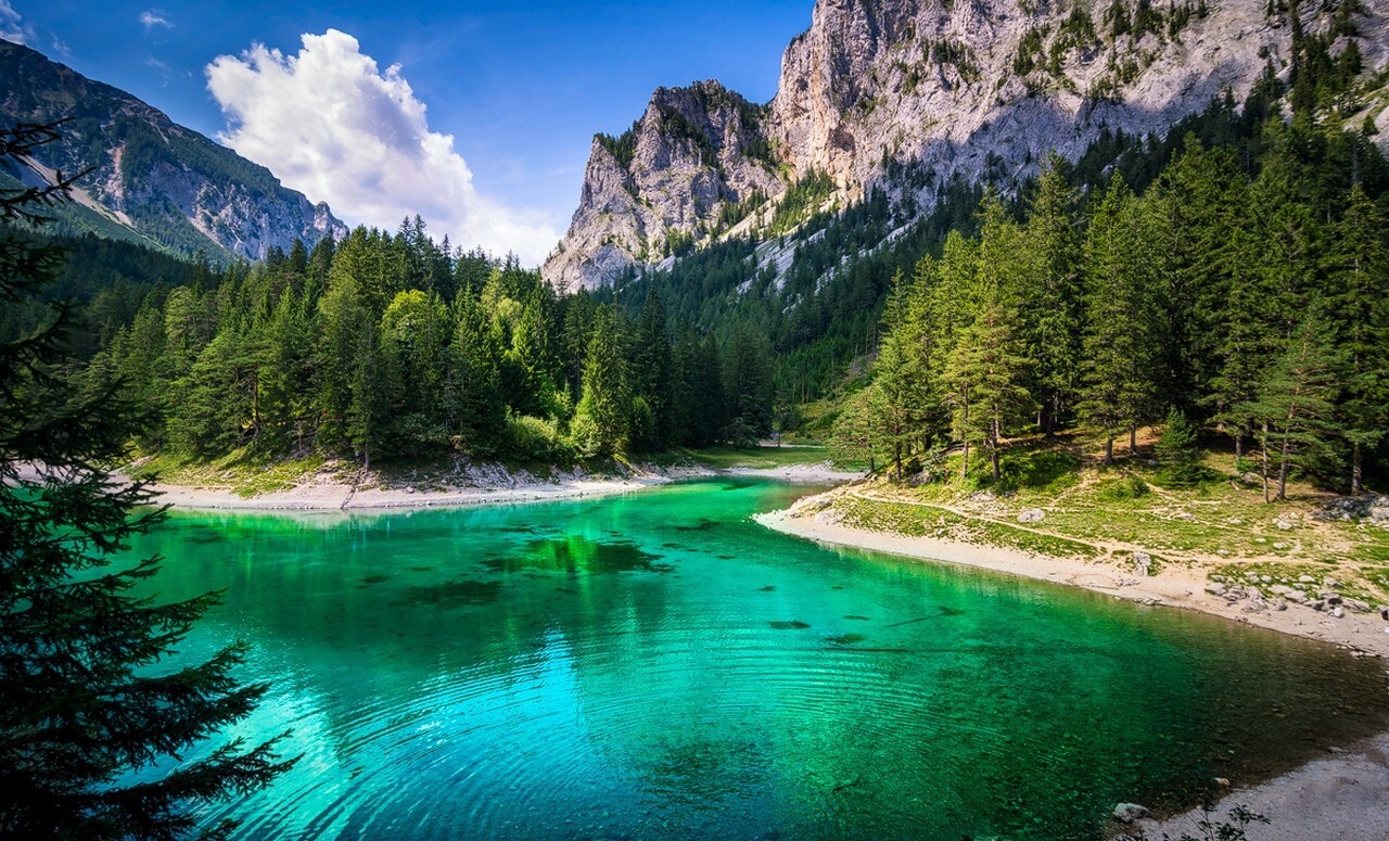 Landscape lake forest green mountains water summer grass Custom Gaming Mat Desk