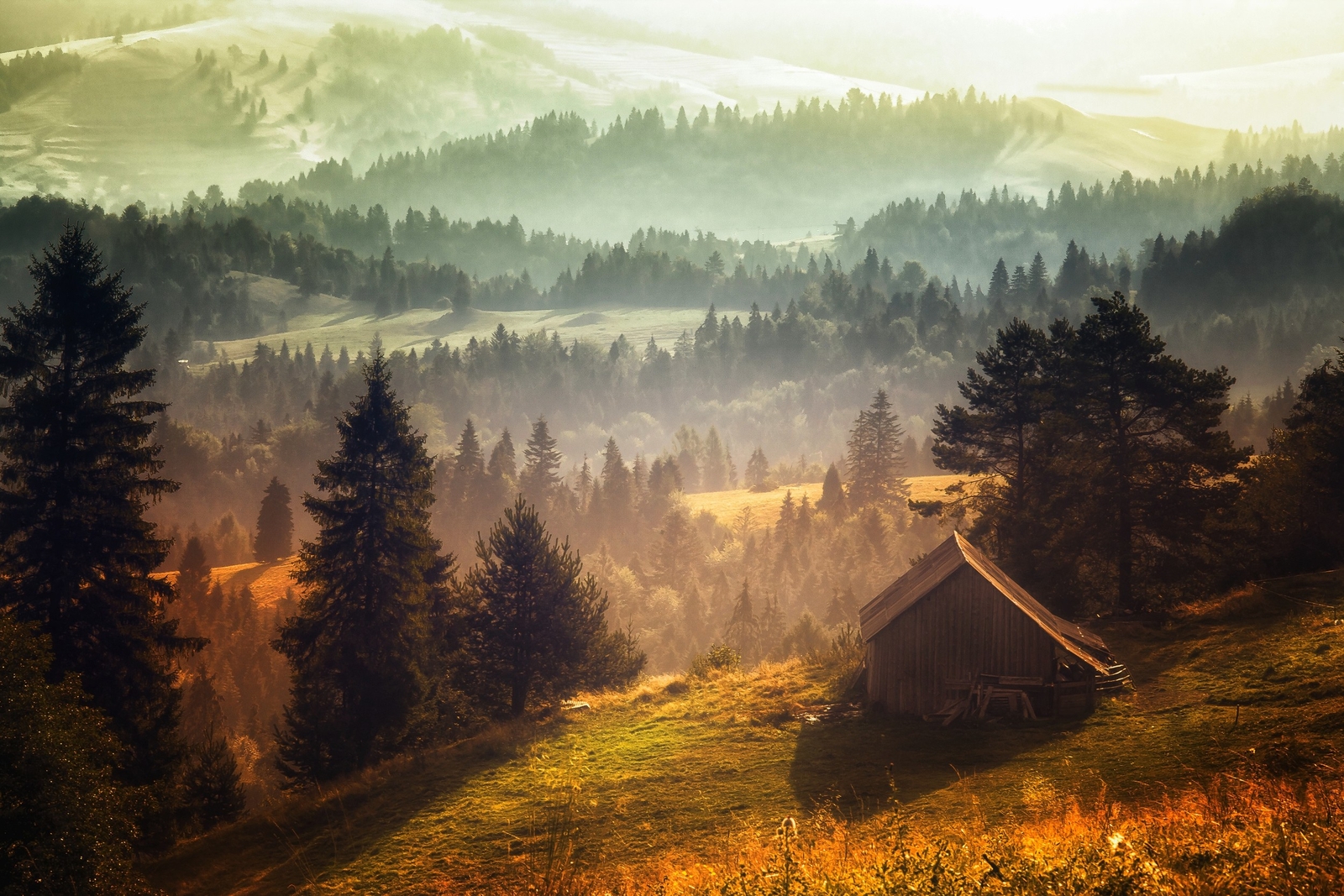 Landscape nature mist forest cabin hills morning grass Custom Gaming Mat Desk