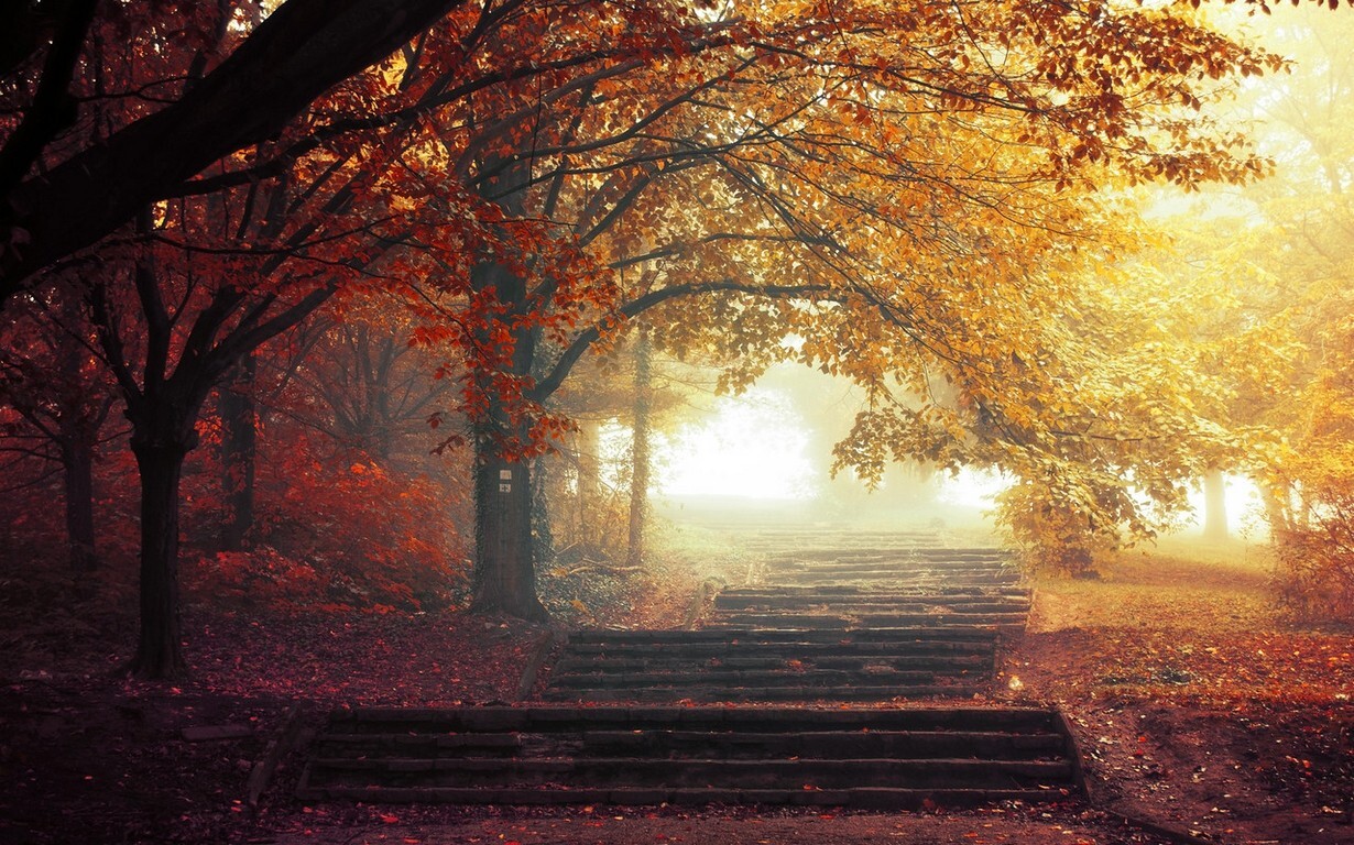 Landscape mist trees fall path leaves park walkway Custom Gaming Mat Desk