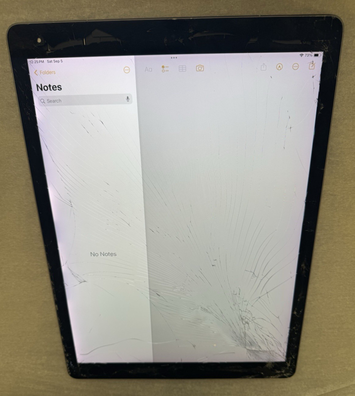 Apple iPad Pro 2nd Gen 12.9" A1671 256GB Gray (Cellular) Unlocked FAIR (READ)
