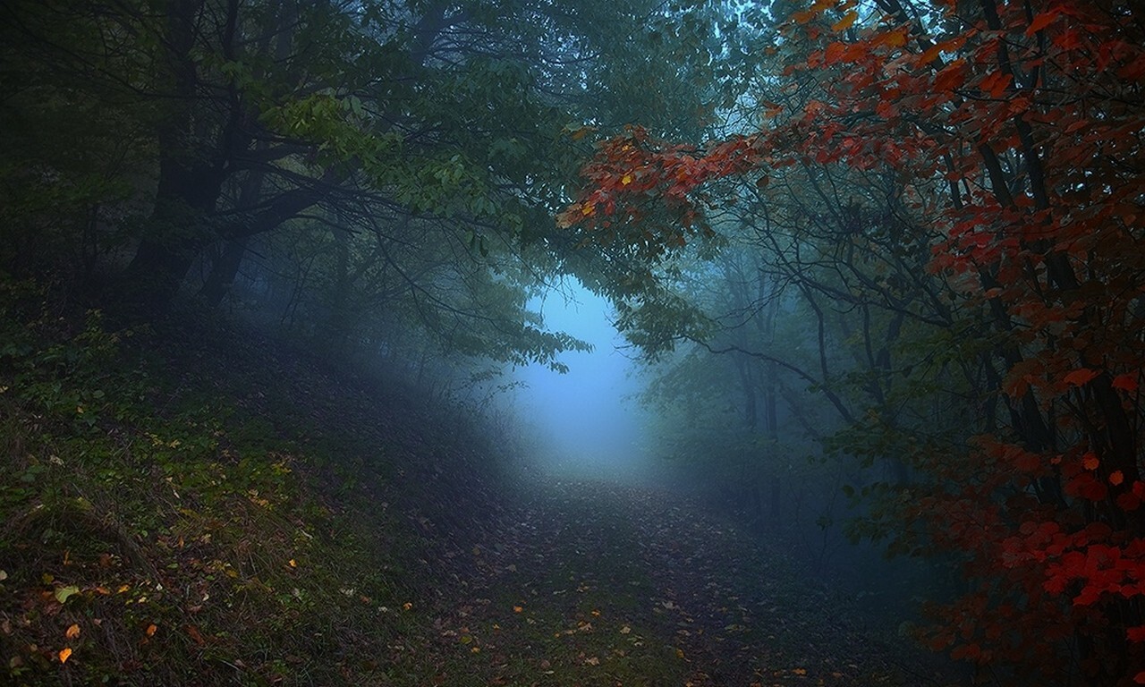 Landscape nature path mist forest morning leaves trees Custom Gaming Mat Desk