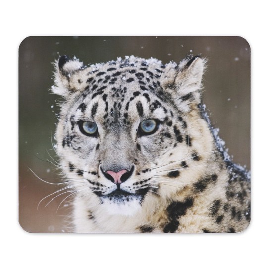 CafePress Snow Leopard Non-slip Rubber Mousepad, Gaming Mouse Pad (1069838020)