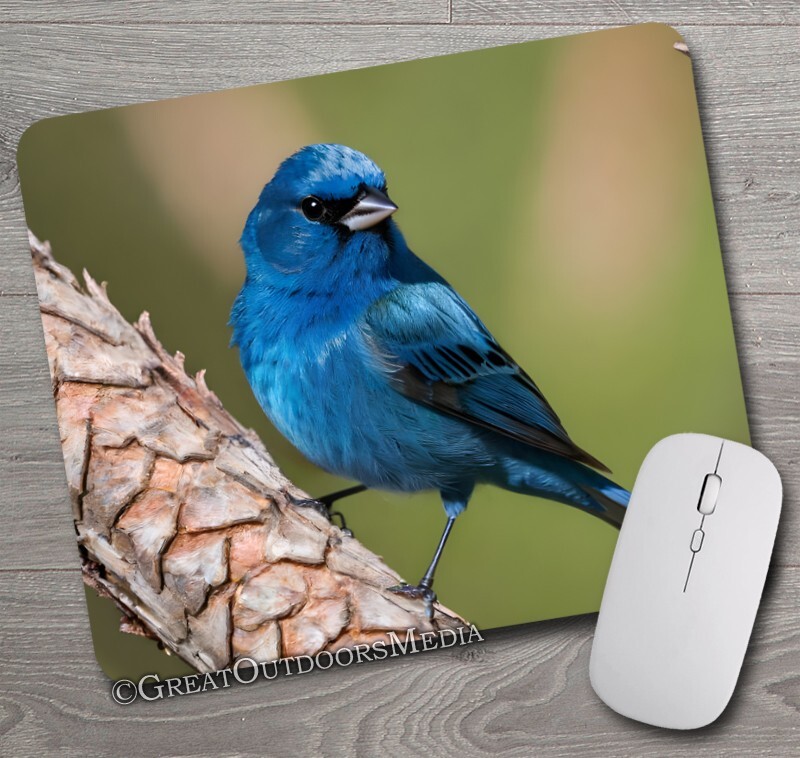 Indigo Bunting ~ Mouse Pad / PC Mousepad ~ Bird Watching Feeder Birding Gift