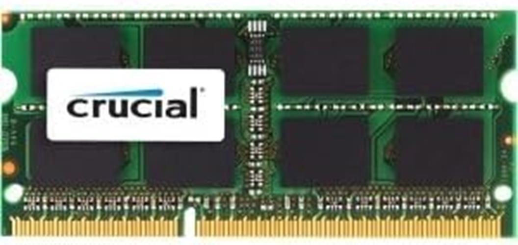 Crucial 8GB DDR3 SDRAM Memory Module - 8 GB (1 x 8 GB) - DDR3 SDRAM - 1600 MHz D
