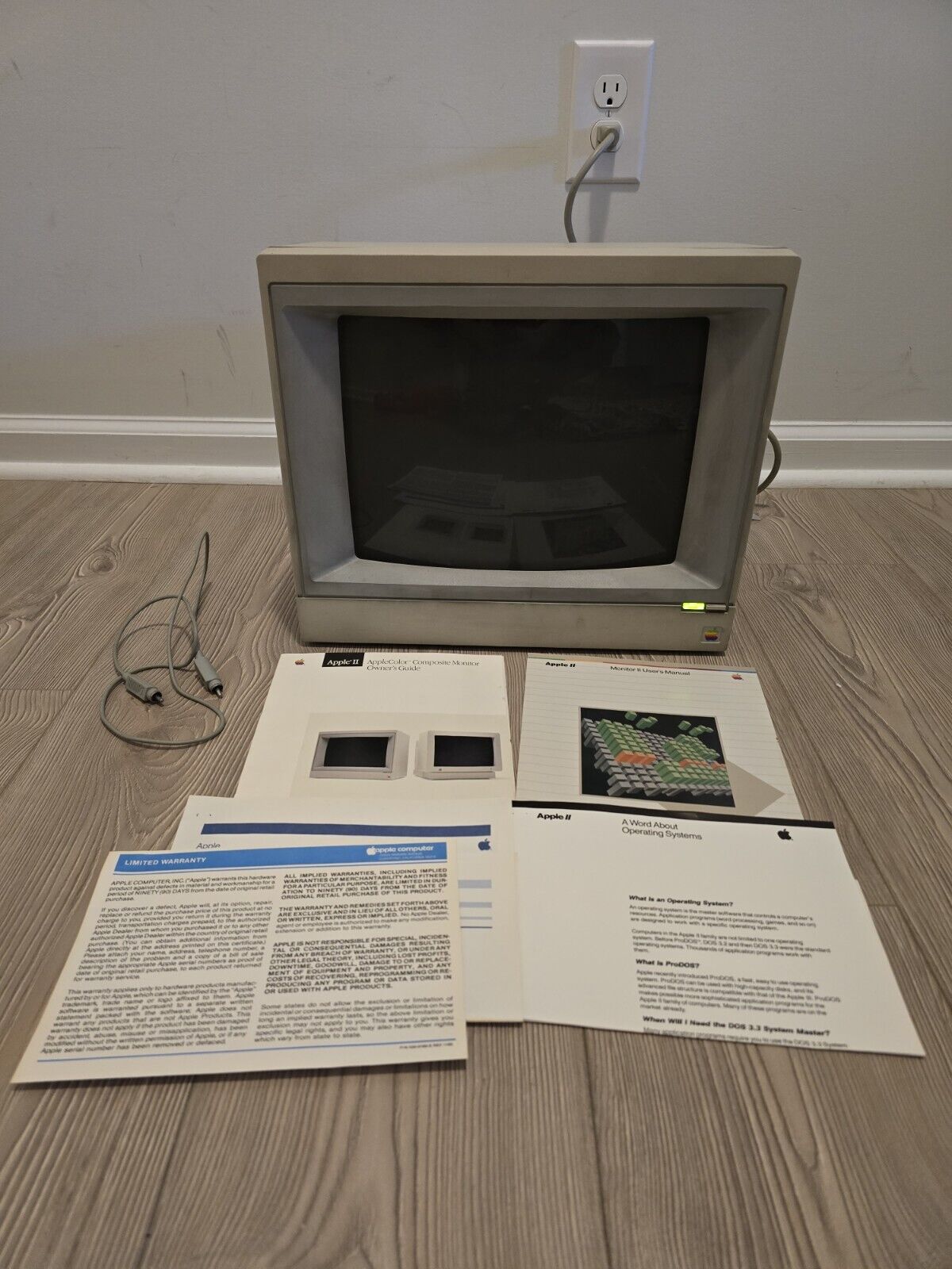 Vtg Apple Color Composite Monitor IIE  A2M6021 /w Cable/Manuals/Paperwork Tested