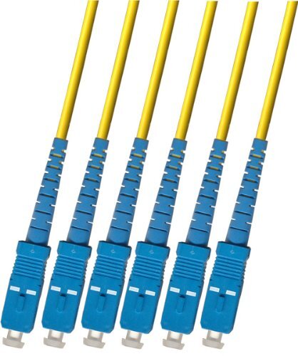 250FT Outdoor Singlemode 6 Strand Fiber Optic Cable 9/125 SC Patch Cable Network