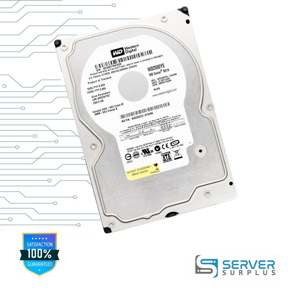 WD Caviar RE16 250GB SATA 3Gb/s 3.5 in Enterprise HDD | WD2500YS-01SHB0