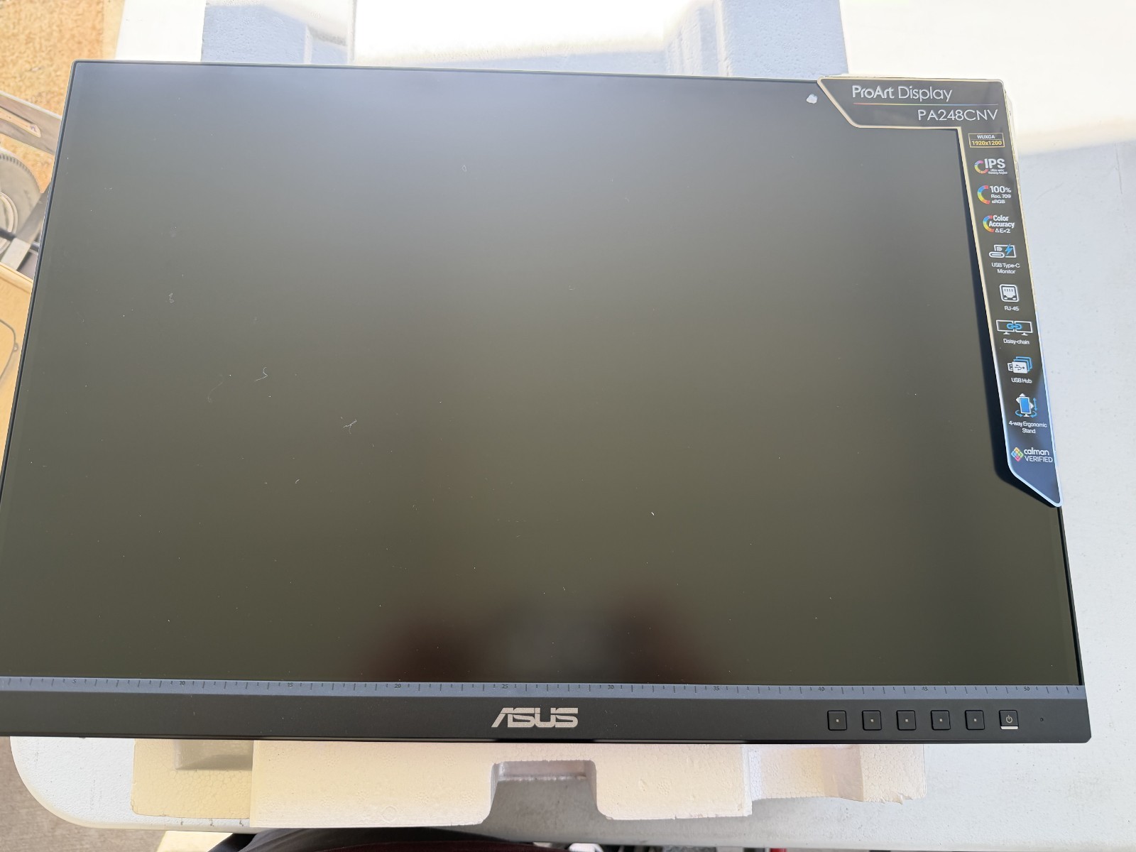 ASUS ProArt Pro Art Display PA248CNV