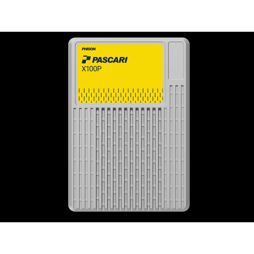 Phison PASCARI D100P E1.S 1920GB PCIe Gen4 Data Center High-Speed Non-SED SSD