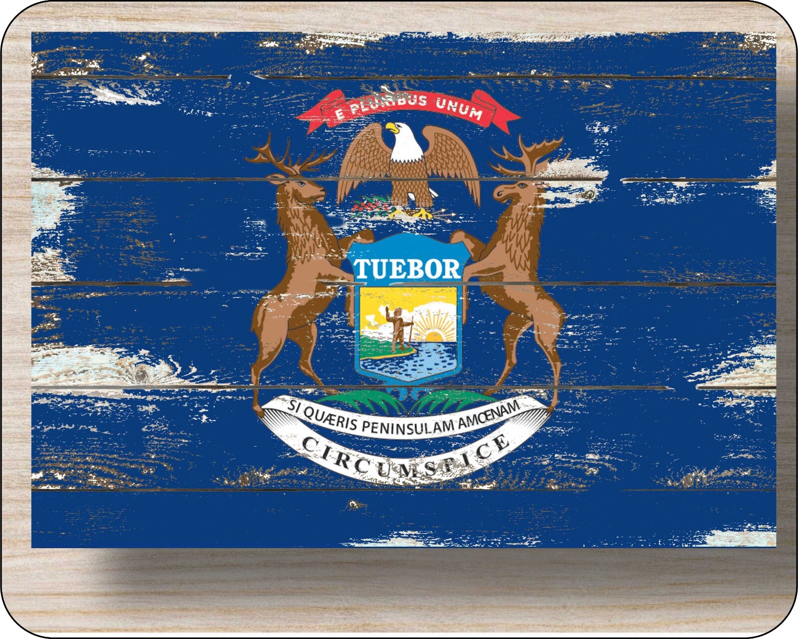 State Flag Of Michigan Mousepad 7 x 9  Distressed Art Photo mouse pad