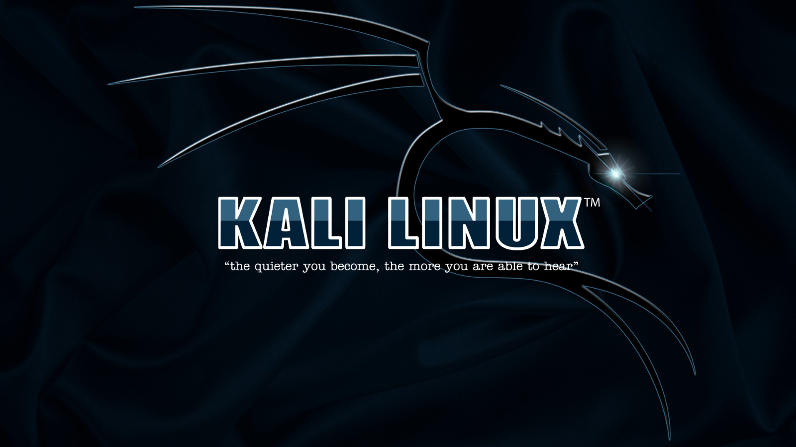 Kali Linux 64-Bit 2024 Bootable Live USB 32 GB Linux Penetration Testing