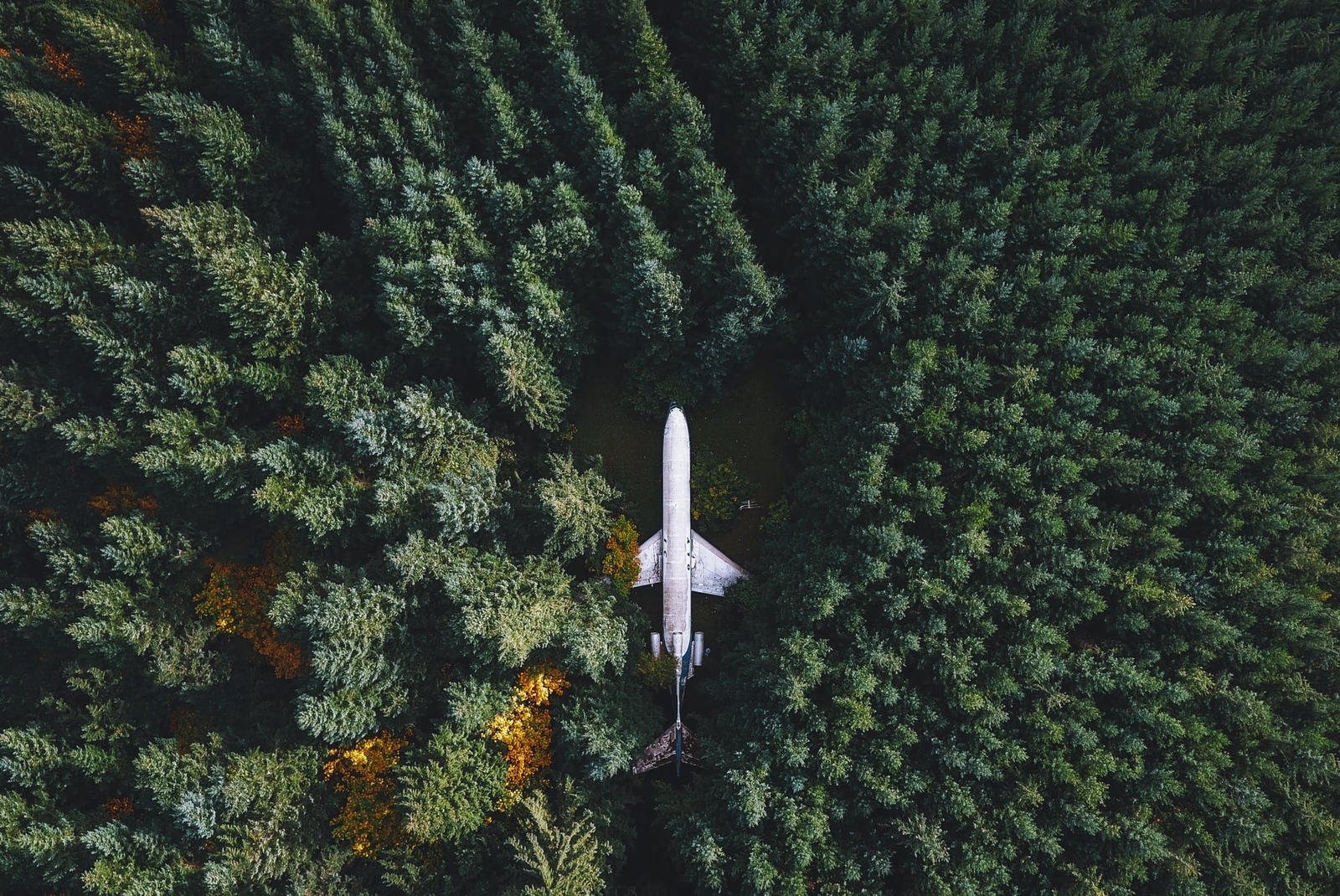 Landscape nature airplane wreck forest trees drone Custom Gaming Mat Desk