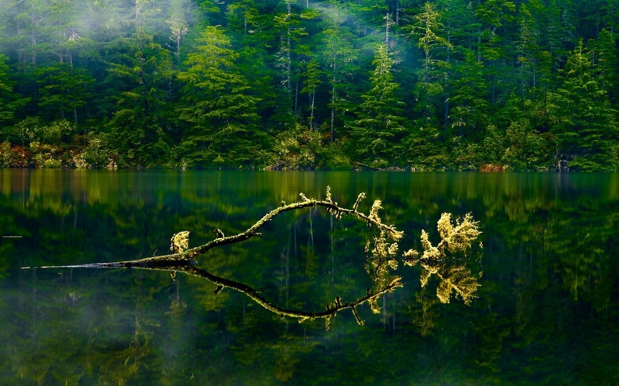 Landscape nature oregon lake mist forest green water Custom Gaming Mat Desk