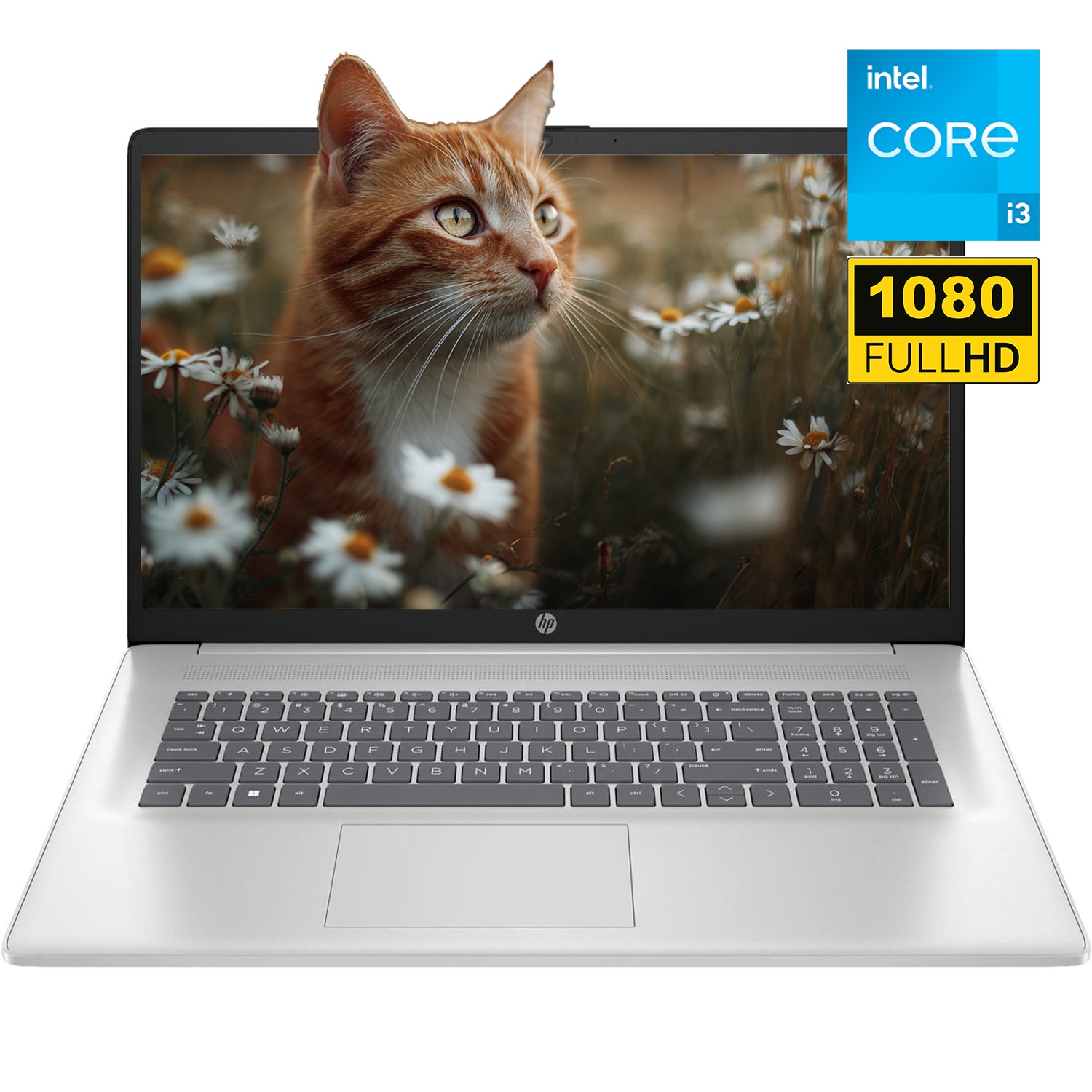 HP 17.3" Full HD+ Laptop - (8 cores) Intel Core i3 N305 UPTO 32GB Memory 2TB SSD