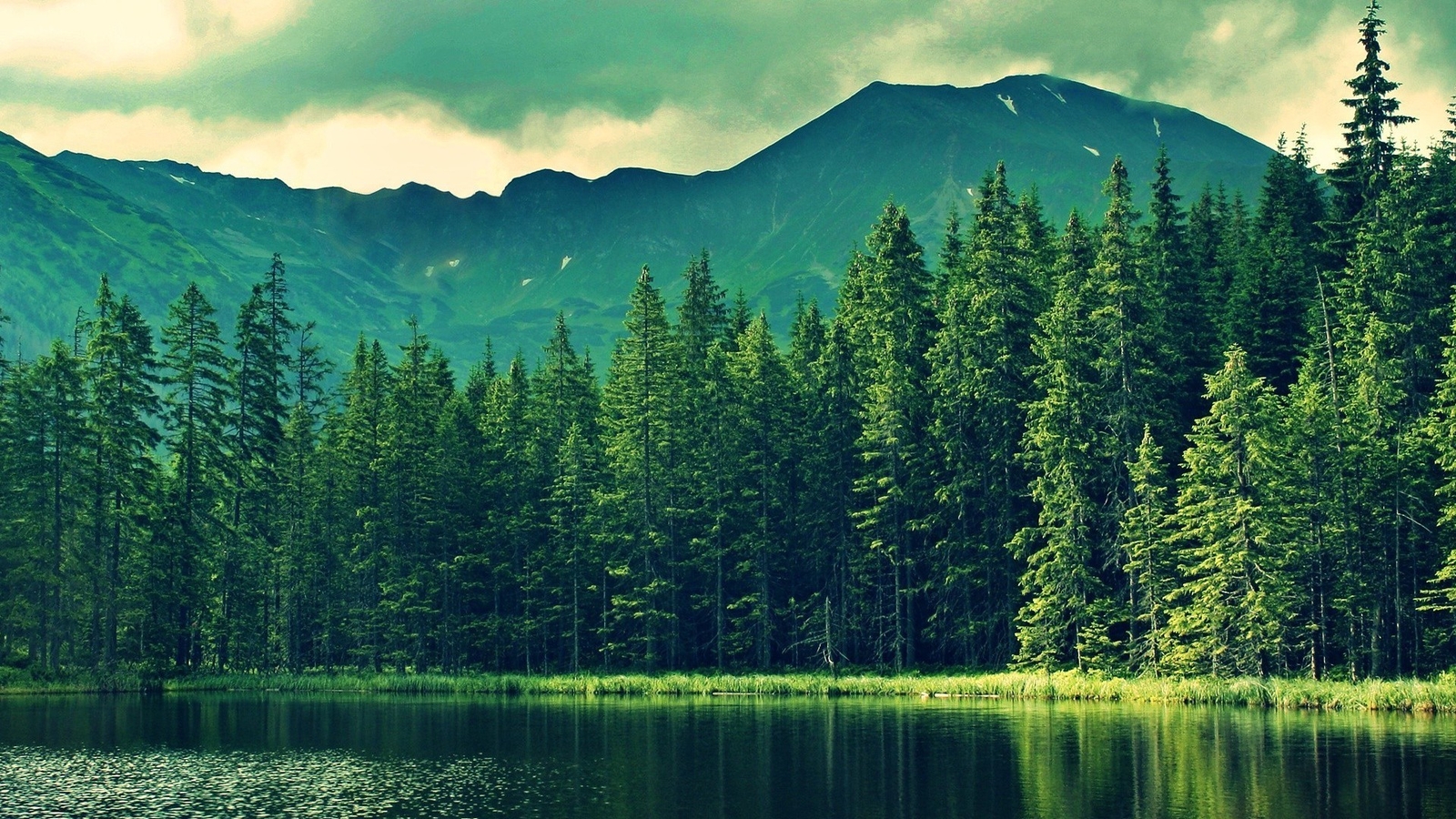 Landscape forest mountains nature Custom Gaming Mat Desk
