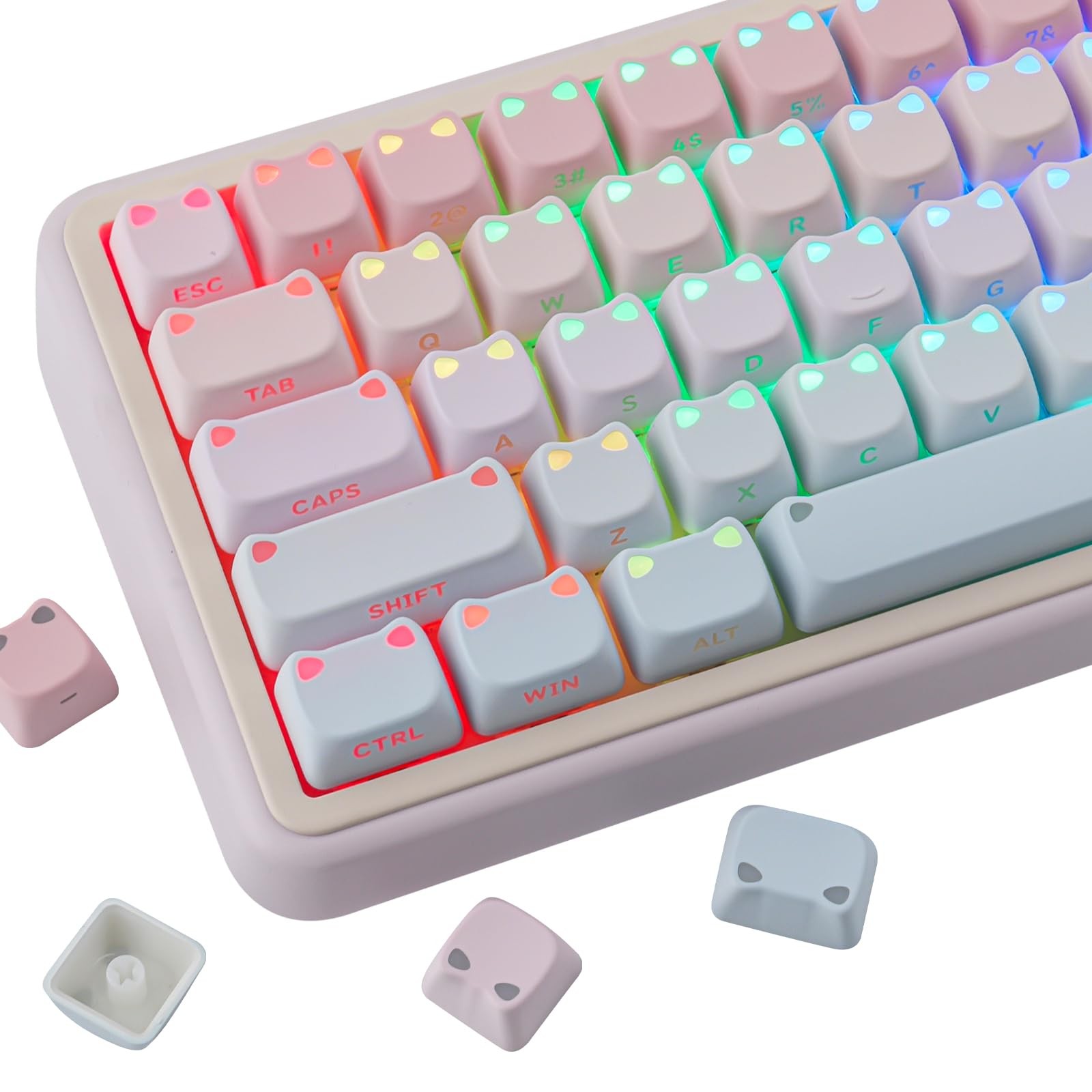 Cute Cat Pink & Blue Gradient Shine Through PBT Keycaps Mao Profile Set New