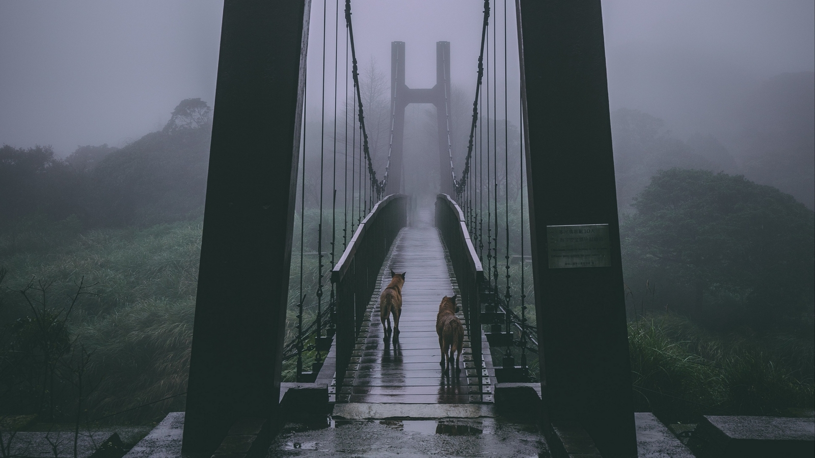 Landscape animals bridge mist rain wet grass Custom Gaming Mat Desk
