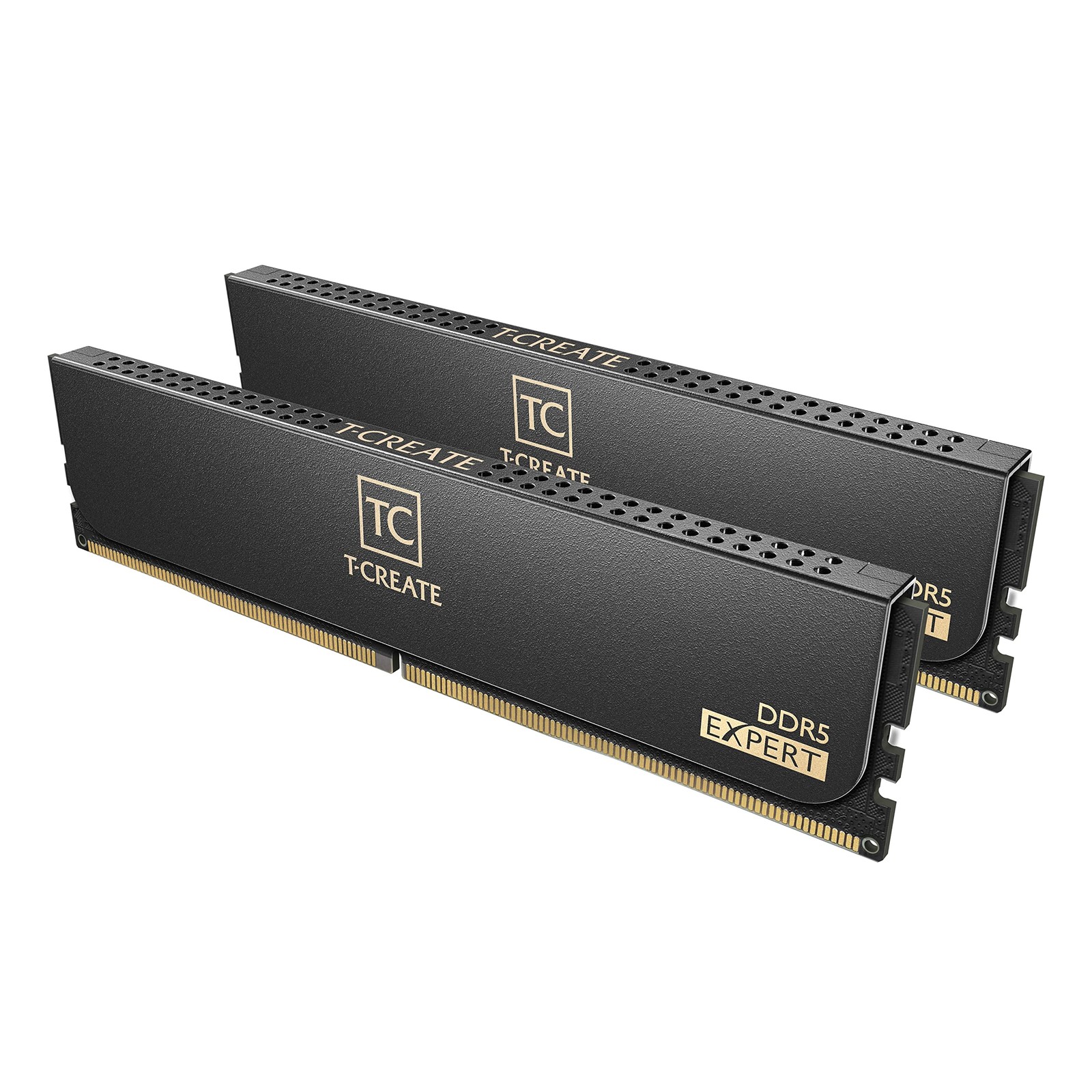 TEAMGROUP T-Create Expert CL32 Overclocking 10L 32GB (16GBx2), Black-UDIMM