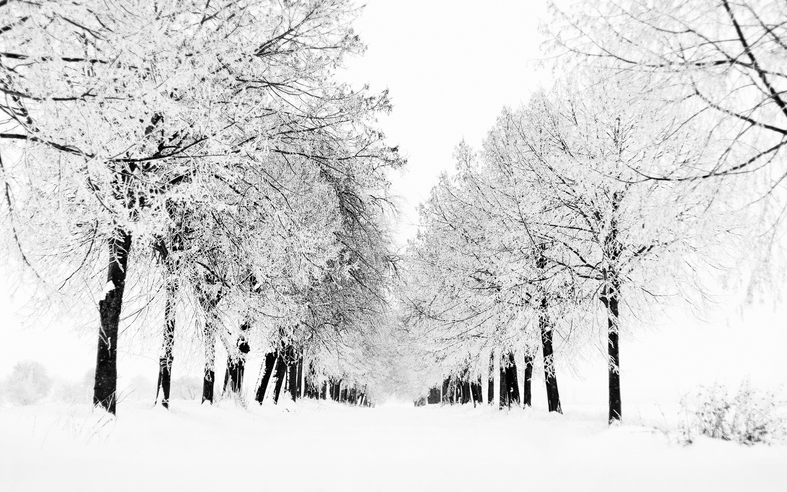 Landscape snow trees nature winter Custom Gaming Mat Desk