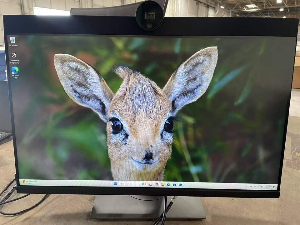Dell P2424HEB 24" Class Webcam Speaker Full HD LED Monitor - 16:9 - Black
