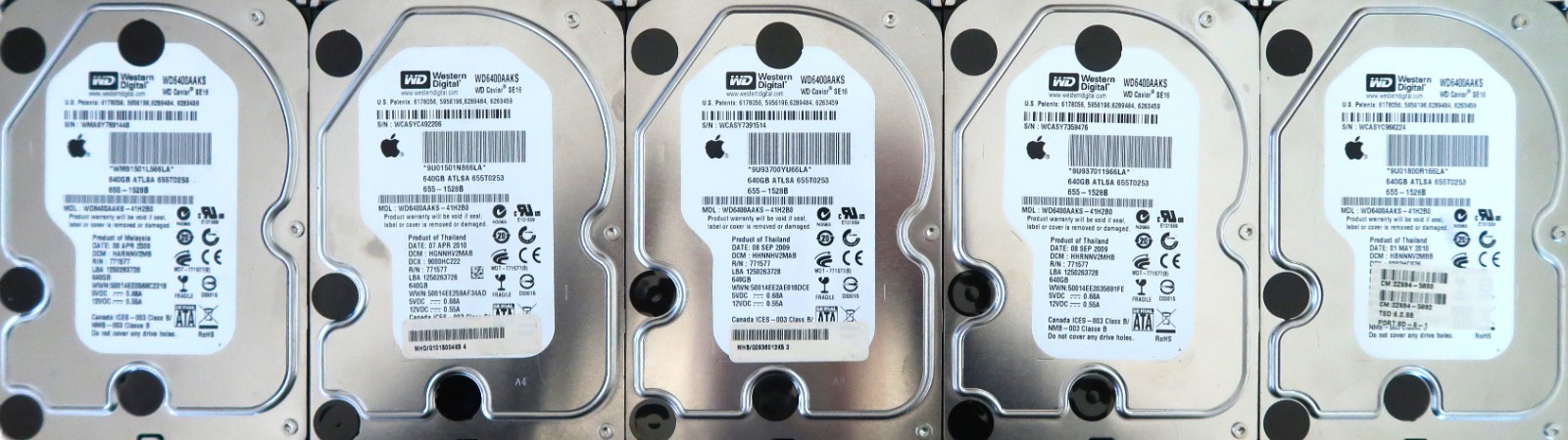 Lot of 5 WD WD6400AAKS 7200rpm 16MB 3Gb/s Sata 3.5" 640gb Sata hard drives