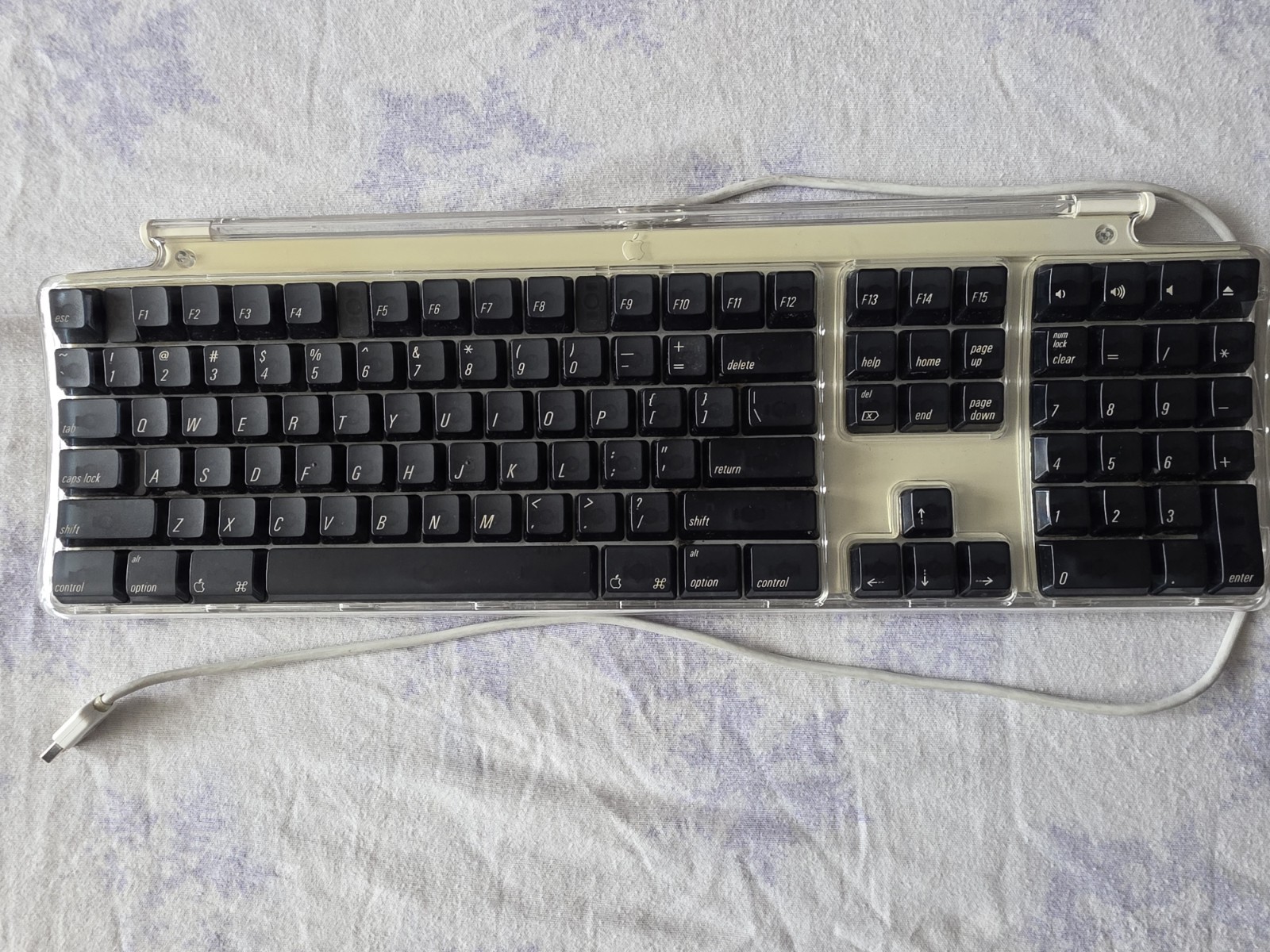 Great Find Apple Pro Keyboard M7803 USB (Black/Clear) – Tested