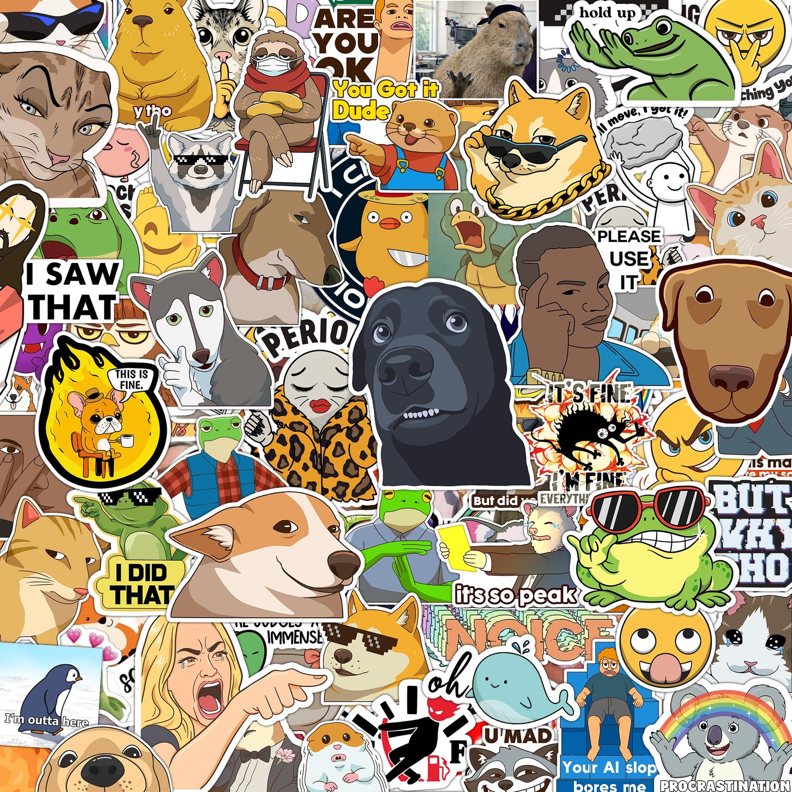 306pcs Funny Meme Vinyl Stickers Pack, Large Bulk Sticker for 306 Pcs, Multi