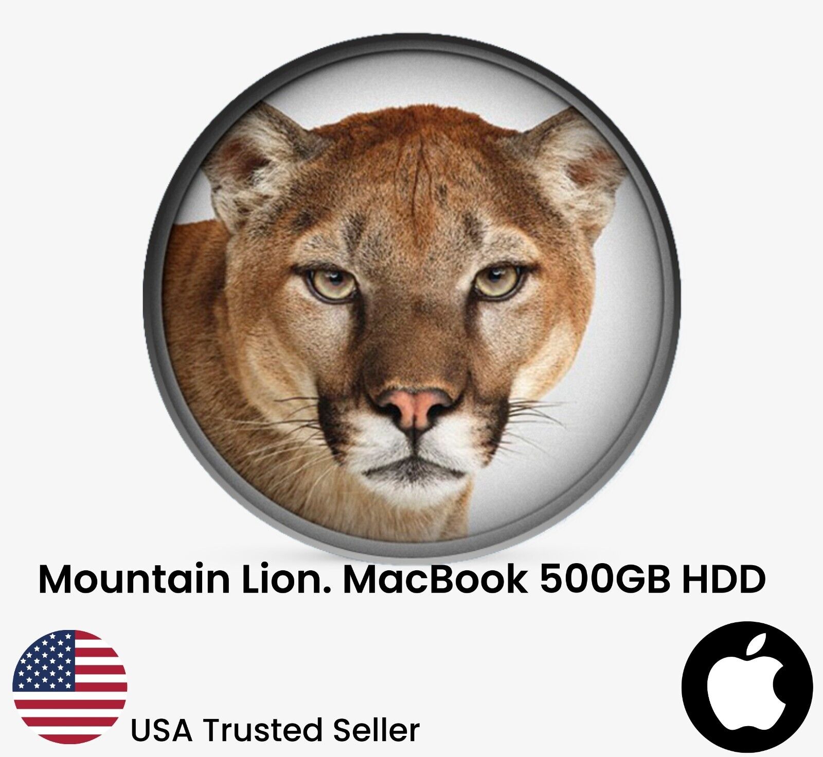 500GB Hard Drive Mountain Lion 2.5