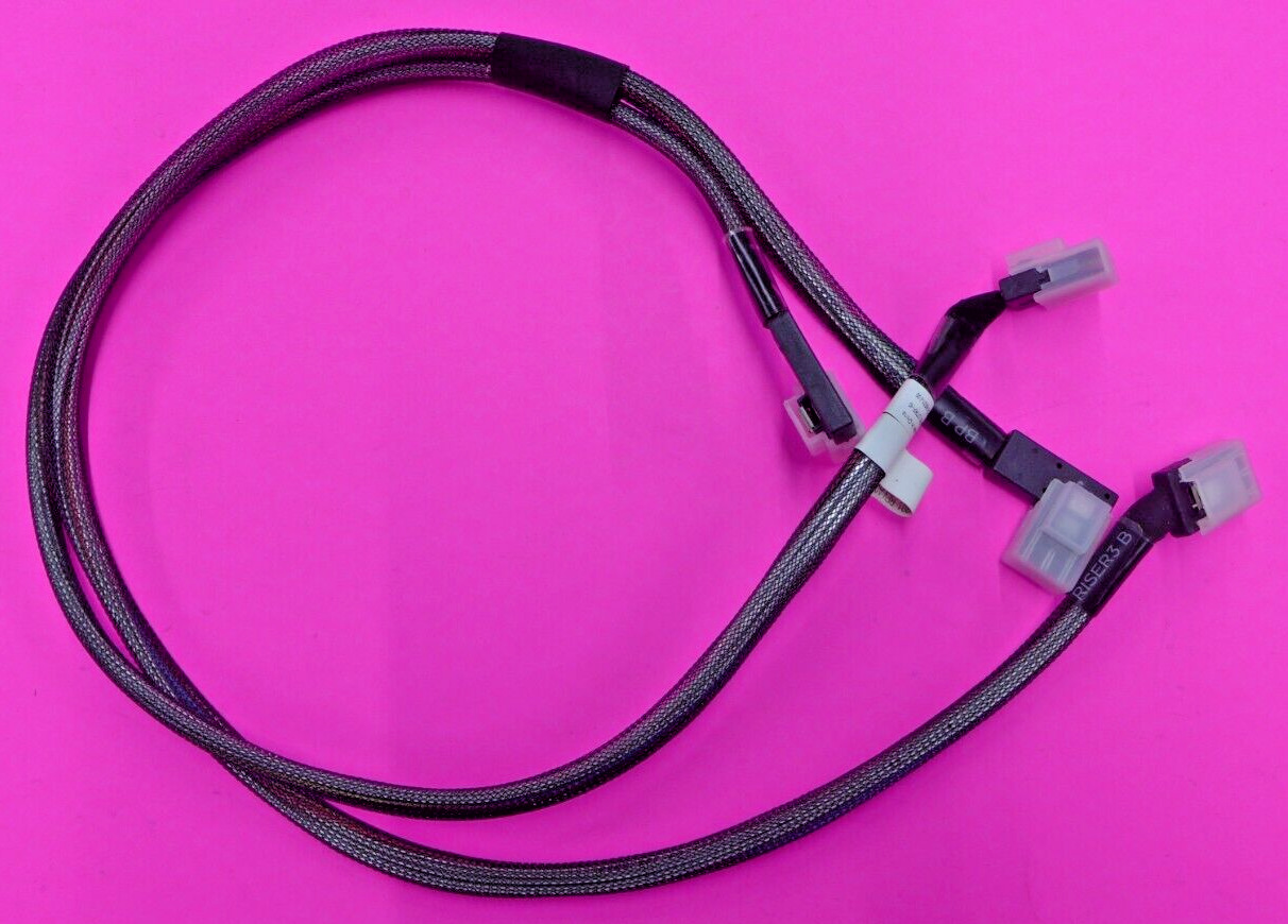 NEW Dell PowerEdge R820 Dual Mini SAS Cable Assembly TRPH0
