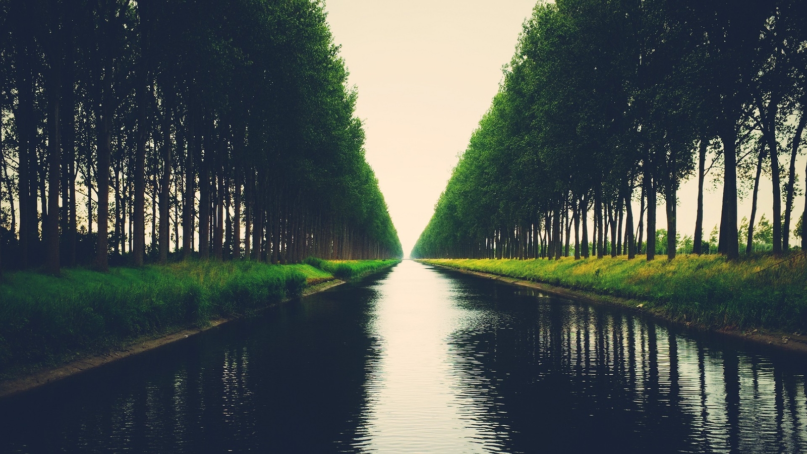Landscape trees river nature Custom Gaming Mat Desk