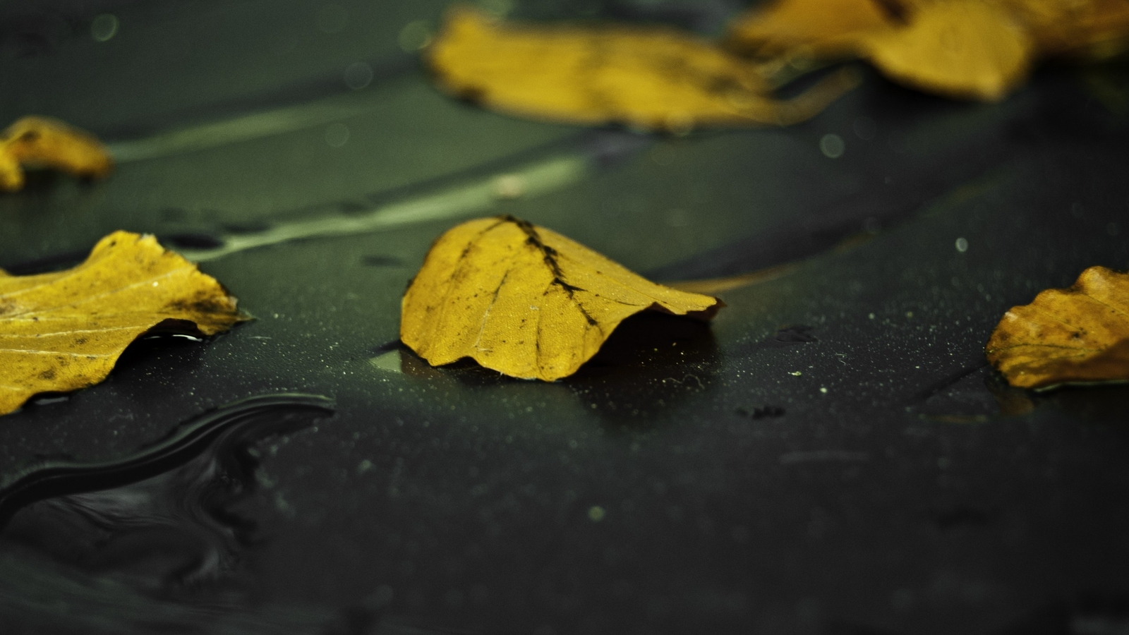 Landscape leaves water drops nature macro fall fallen Custom Gaming Mat Desk