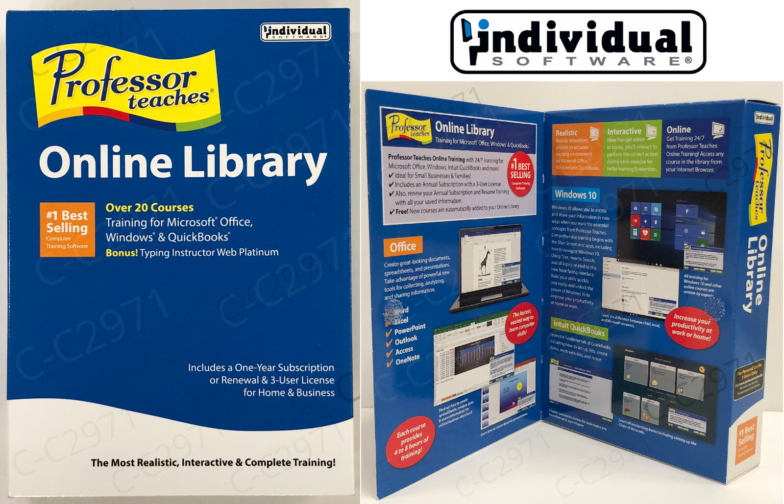 Professor Teaches Online Library Train for MS Office, QuickBooks, Windows 10 NEW