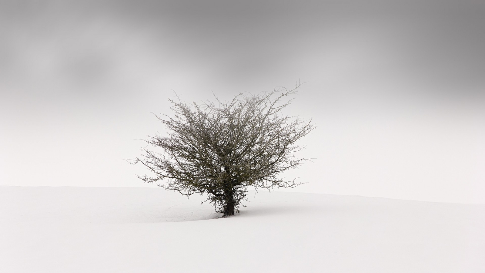 Landscape nature minimalism trees winter snow mist Custom Gaming Mat Desk