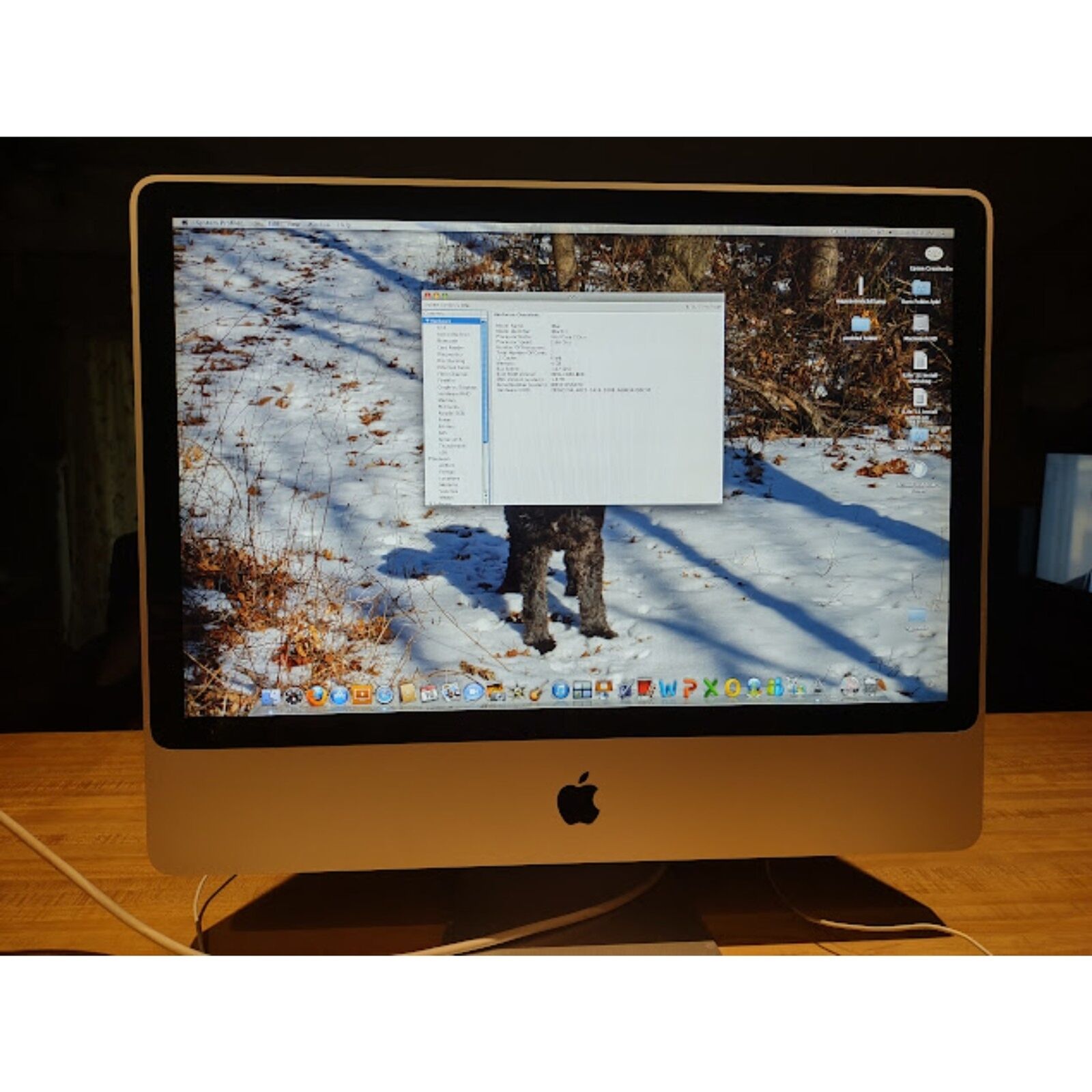 Apple iMac 9,1 Desktop Computer With Mouse and Keyboard