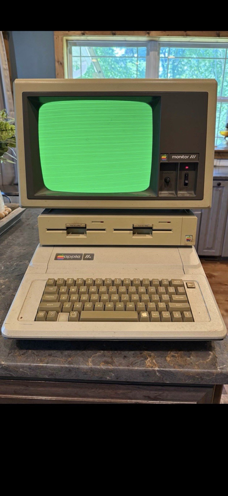 Apple Apple IIe Home Computer w/ DuoDisk A9M0108 & Monitor III A3M0039